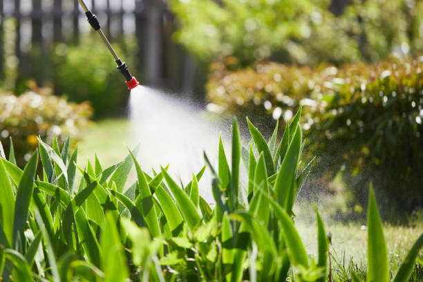 Tamper-Resistant Bait Stations for Rodents in Greenfield