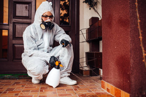 Attic and Crawl Space Rodent Treatment in Greenfield